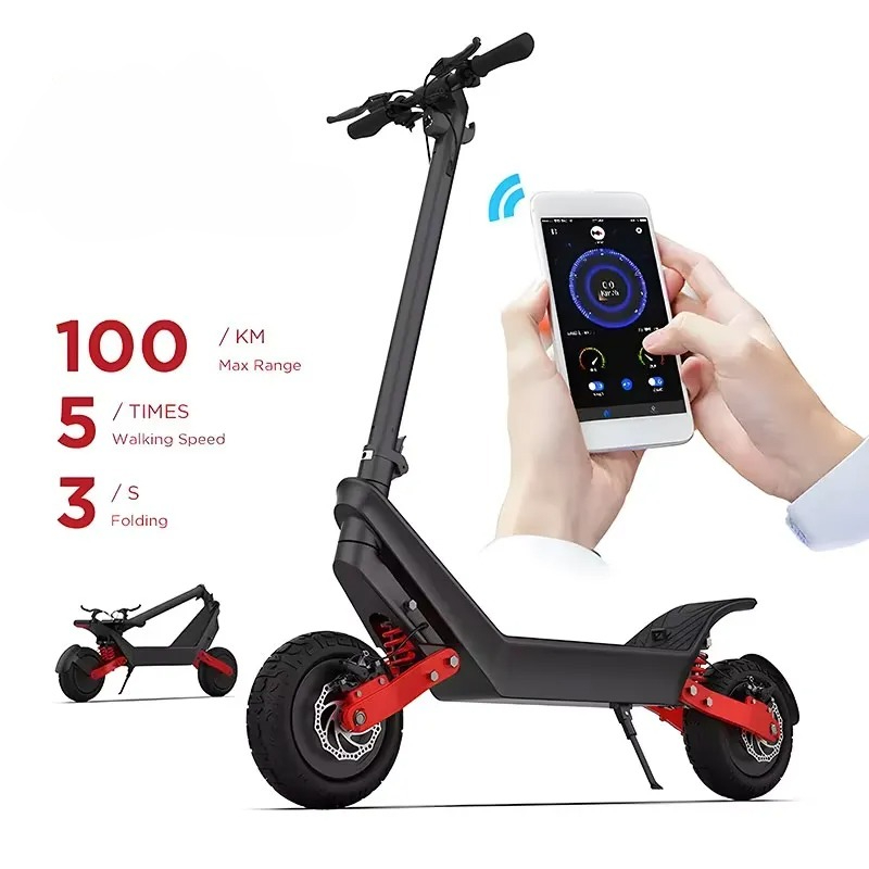 Powerful 2000W Dual Motor X10  - đánh giá và giá Electric Scooter Adults