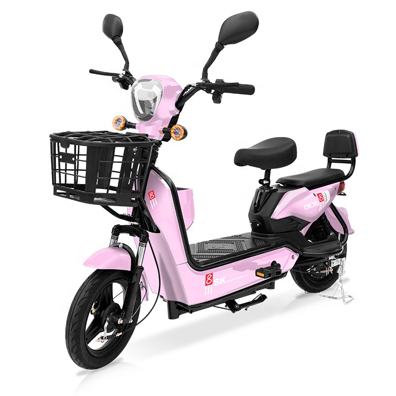 YTYIN 350W Electric City Bike  - đánh giá và giá Folding Electric Scooter